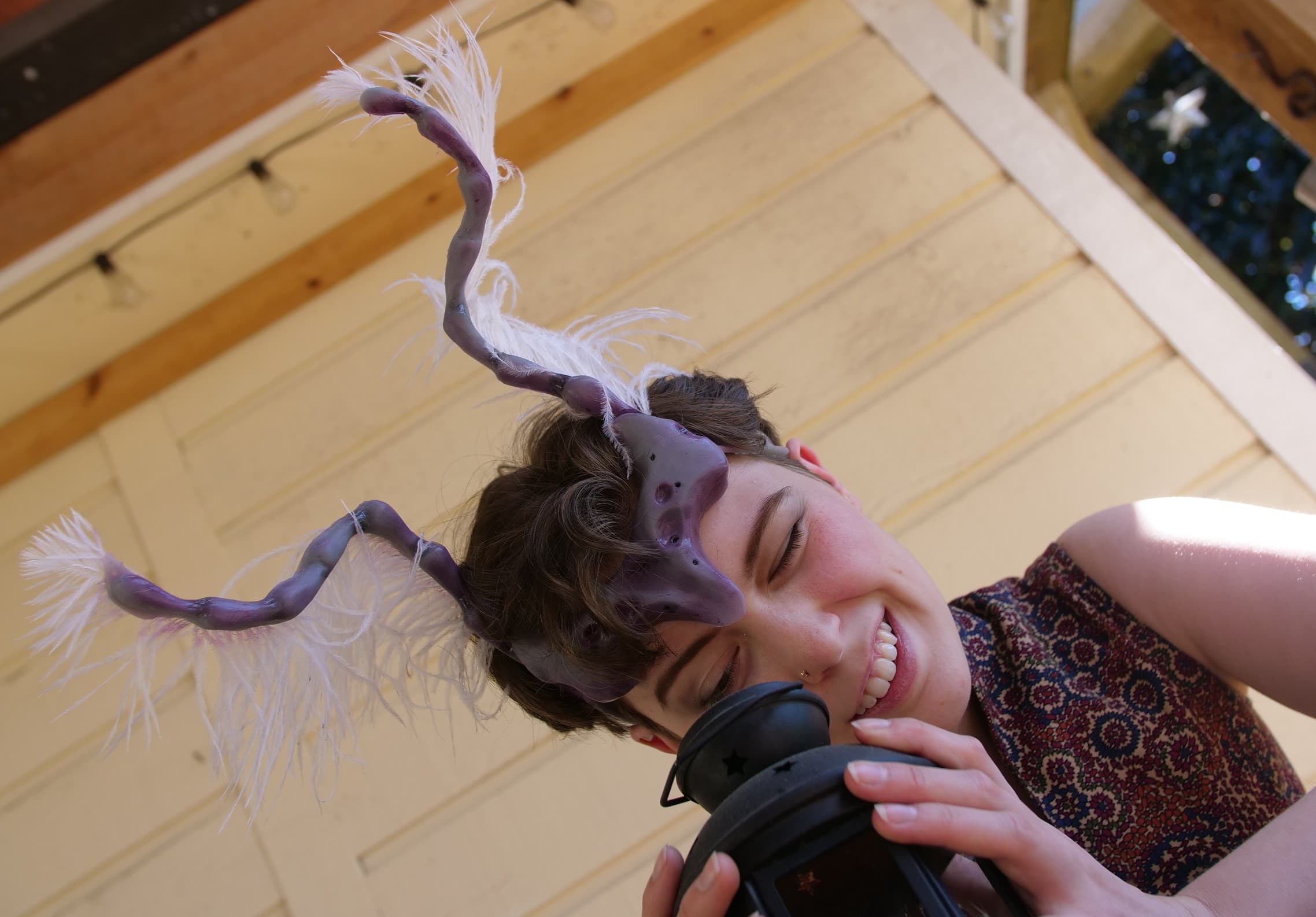 Photograph from the Alien Antennae project.