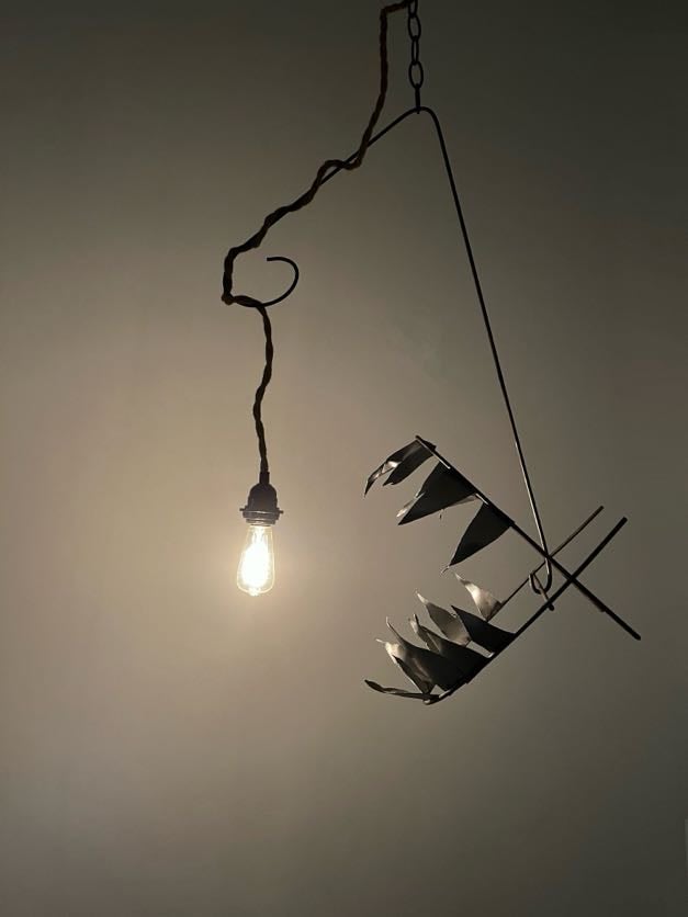 Photograph from the Assorted Oddities project.